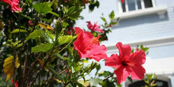 photo_five