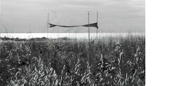 photo_three