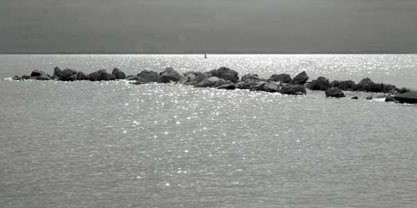 photo_four