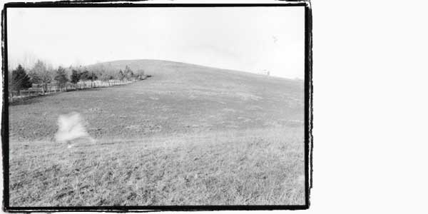 photo_five